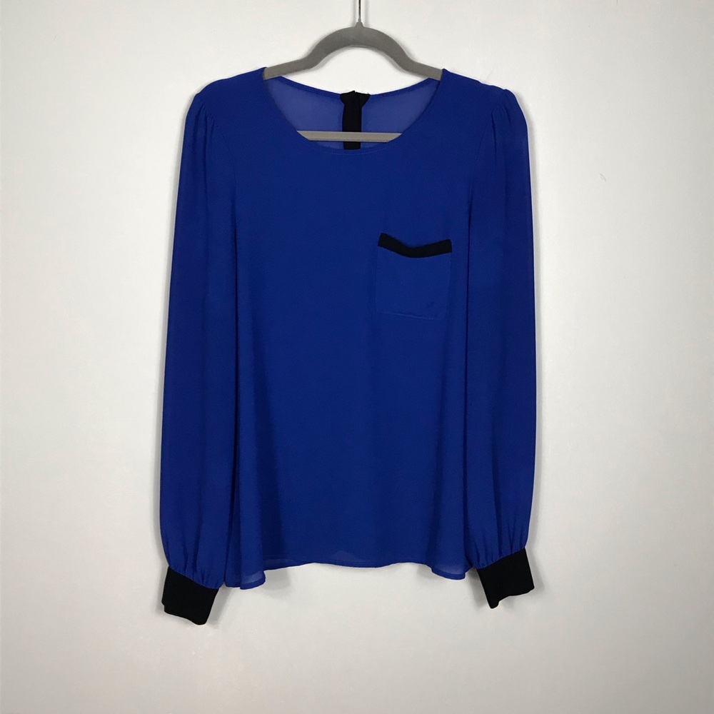 Long Sleeve Blue Sheer Buttoned Back Dressy Blouse Top Career Formal Academia M